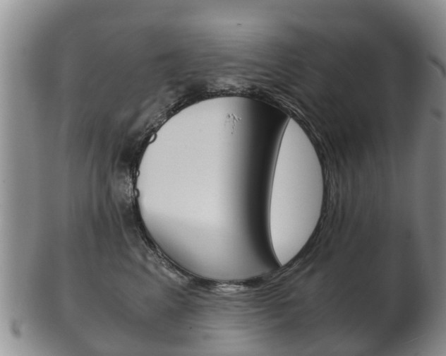 X0000102520617200808081031