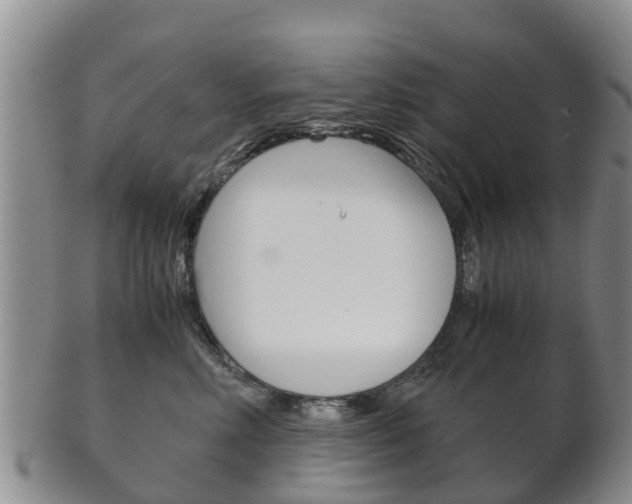 X0000102520618200808081031