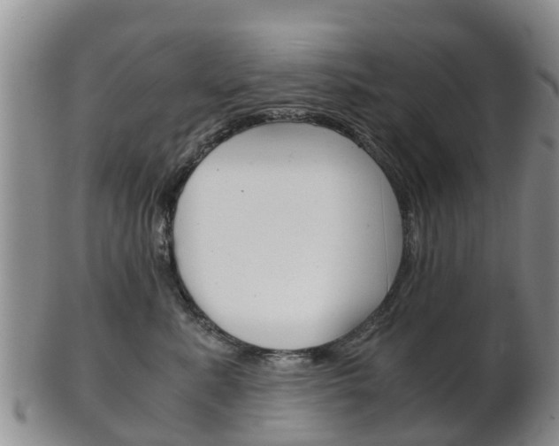 X0000102520619200808081031
