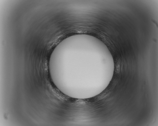 X0000102520620200808081031