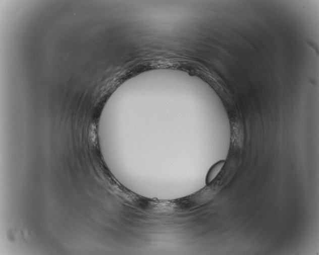 X0000102520621200808081031