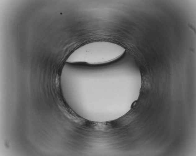 X0000102520623200808081031