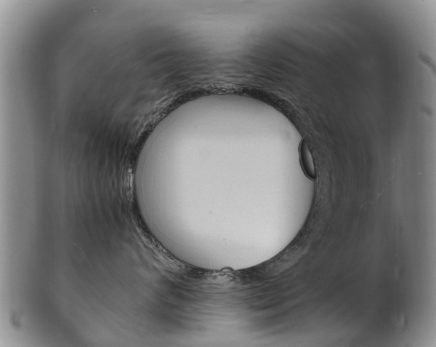 X0000102520624200808081031