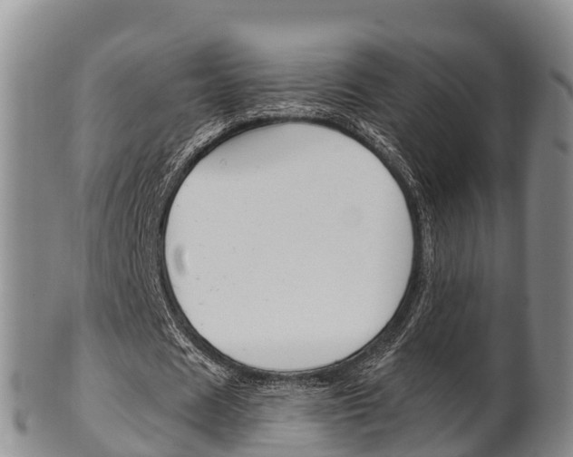X0000102520625200808081030