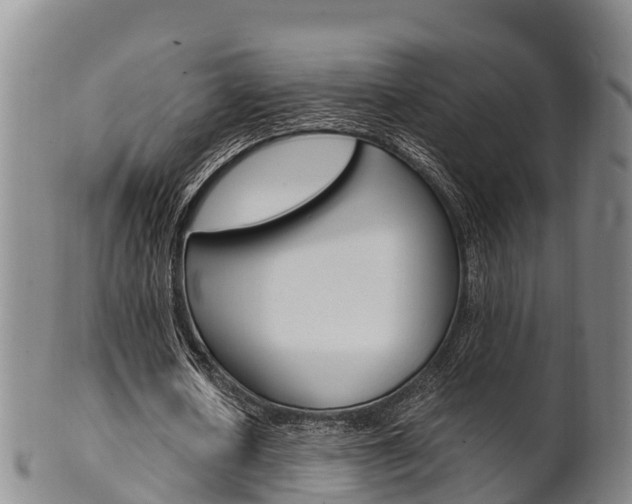 X0000102520626200808081030
