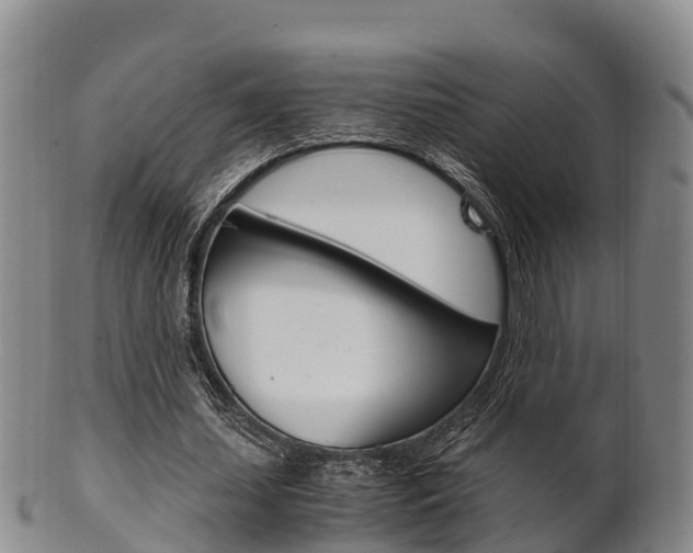 X0000102520627200808081030