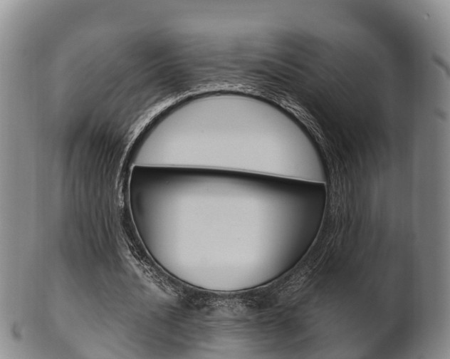 X0000102520628200808081030