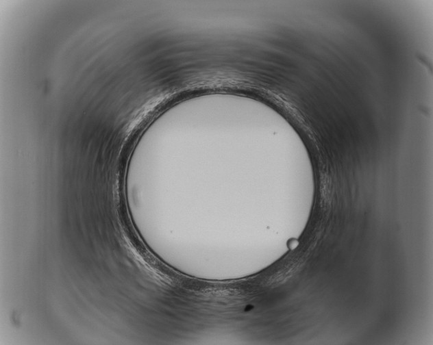 X0000102520629200808081030