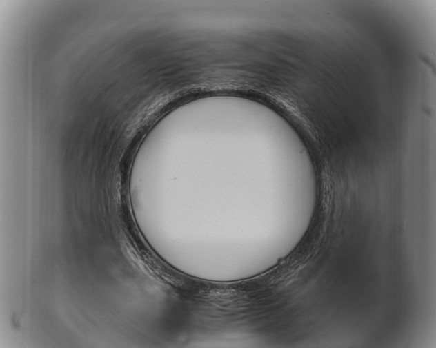 X0000102520631200808081030