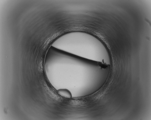 X0000102520633200808081030