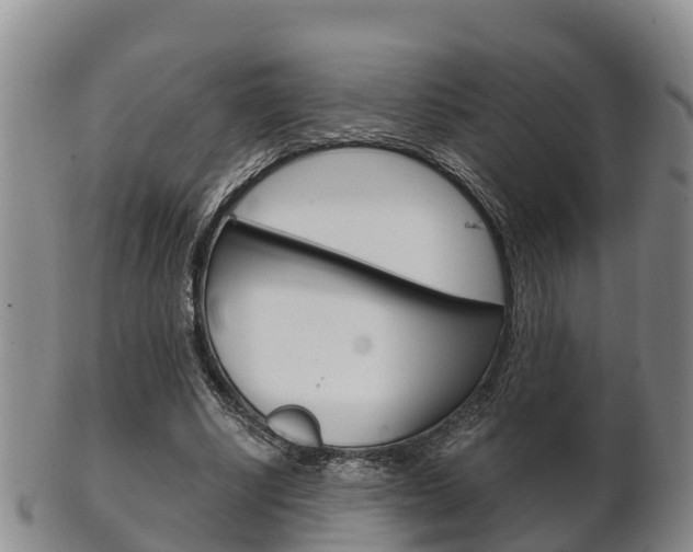 X0000102520634200808081030