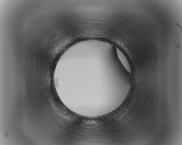 X0000102520635200808081030