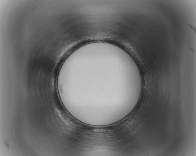 X0000102520636200808081030