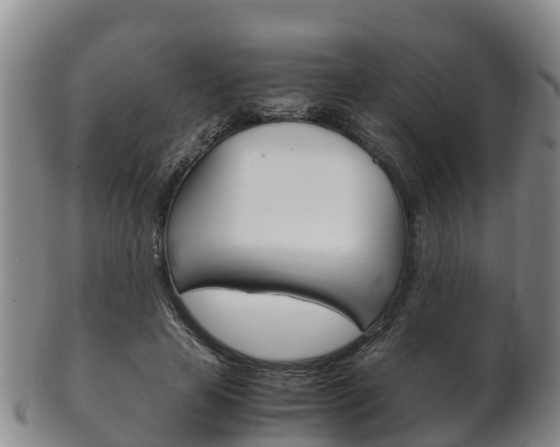 X0000102520641200808081030