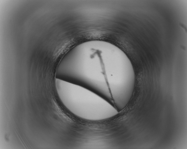 X0000102520642200808081030