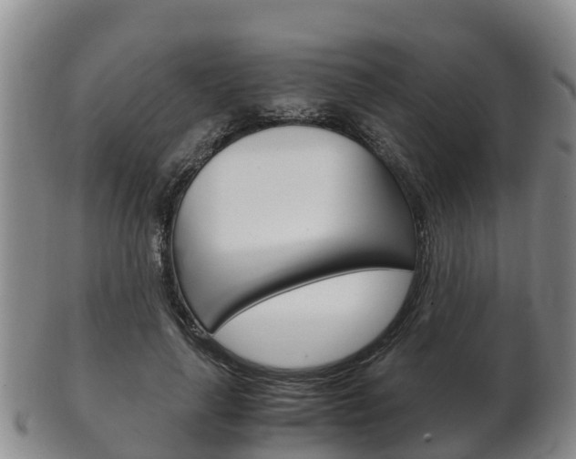 X0000102520643200808081030