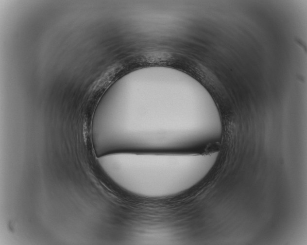 X0000102520644200808081031