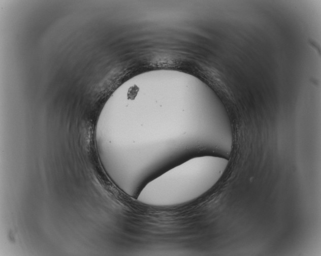 X0000102520645200808081031