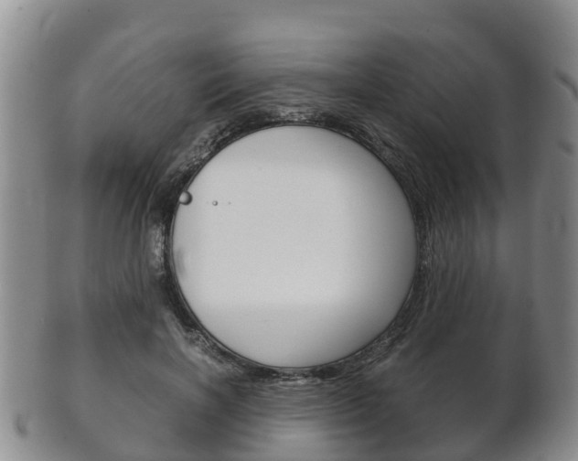 X0000102520646200808081031