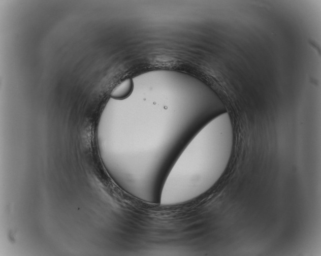 X0000102520647200808081031