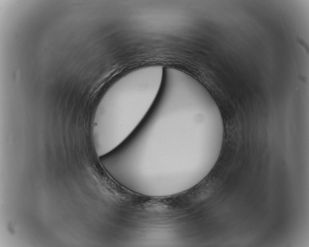 X0000102520648200808081031