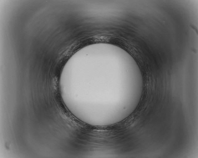 X0000102520649200808081031