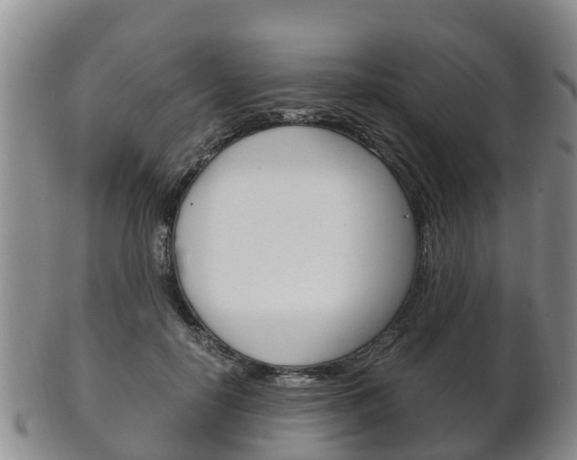 X0000102520650200808081031