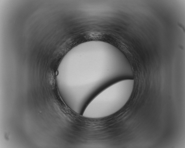 X0000102520651200808081031