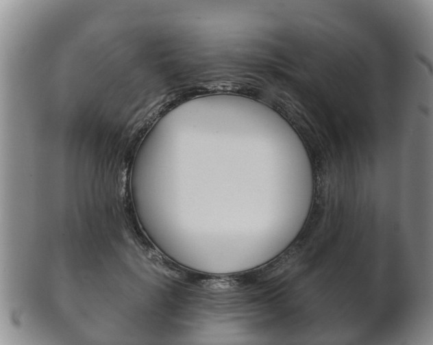 X0000102520652200808081031