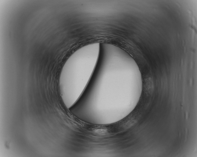 X0000102520653200808081031