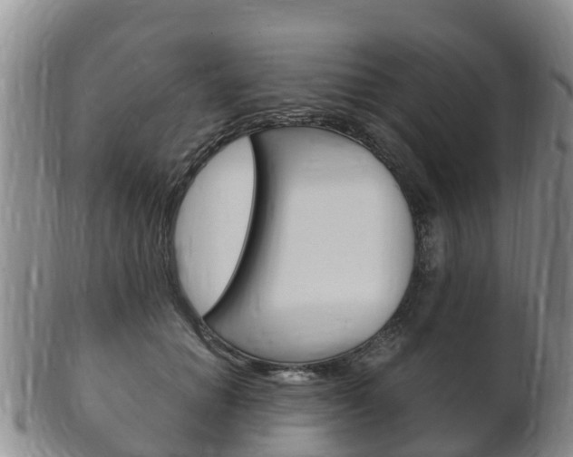 X0000102520654200808081031