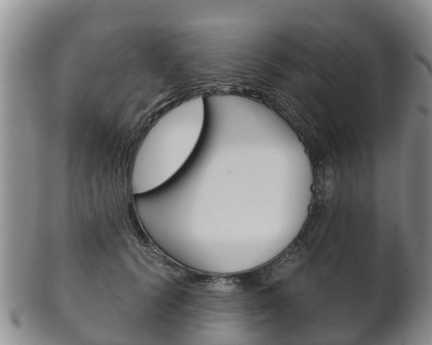 X0000102520656200808081031