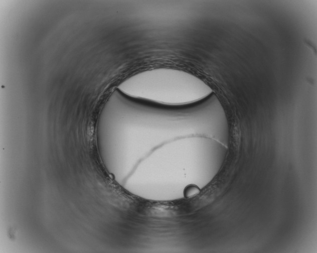 X0000102520657200808081031