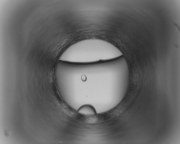 X0000102520658200808081031