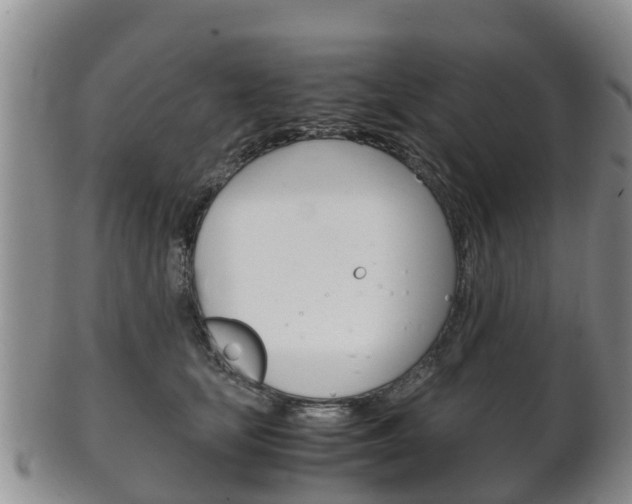 X0000102520659200808081031