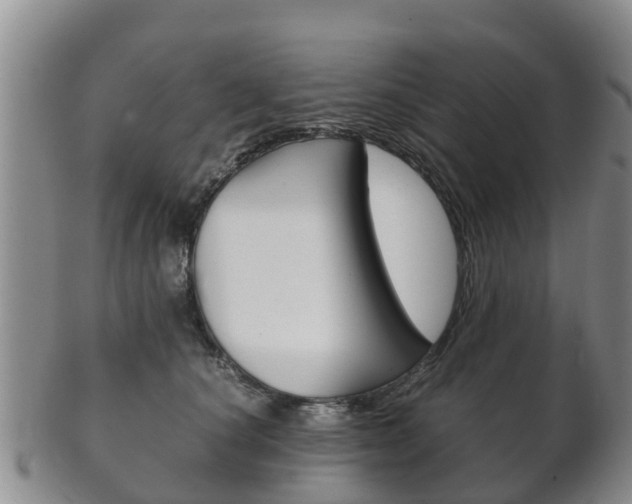 X0000102520660200808081031