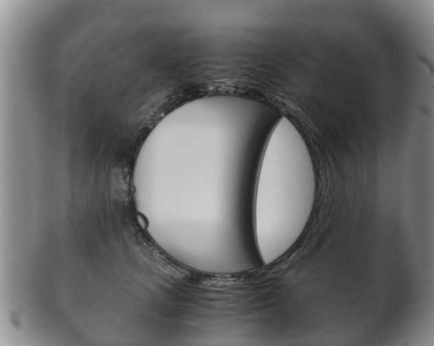 X0000102520661200808081031