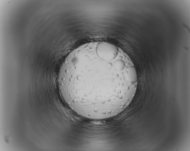 X0000102520662200808081031