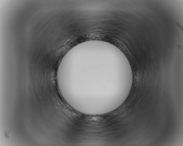 X0000102520663200808081031