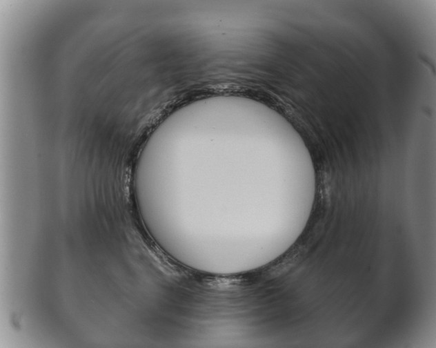 X0000102520664200808081031
