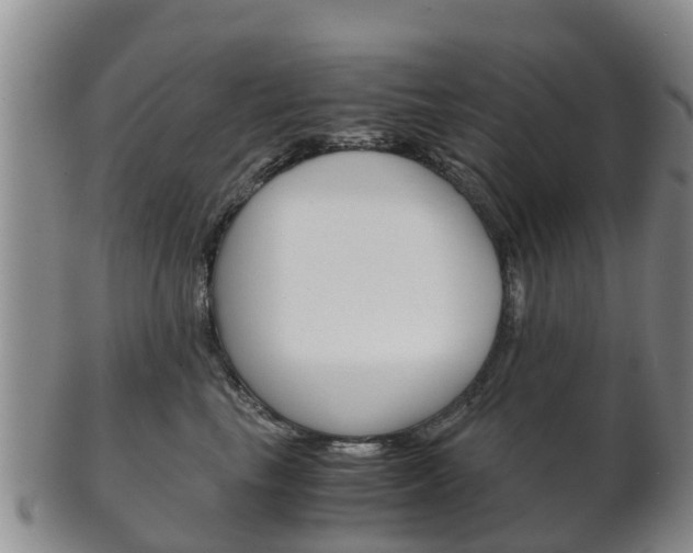 X0000102520665200808081031