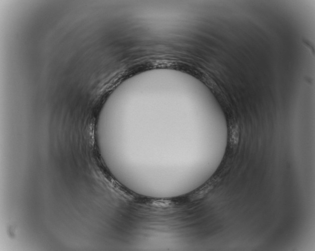 X0000102520666200808081031