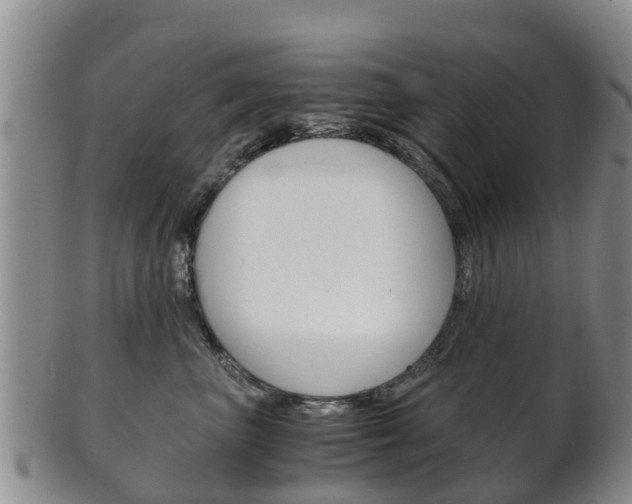 X0000102520667200808081031