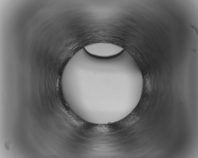 X0000102520668200808081031