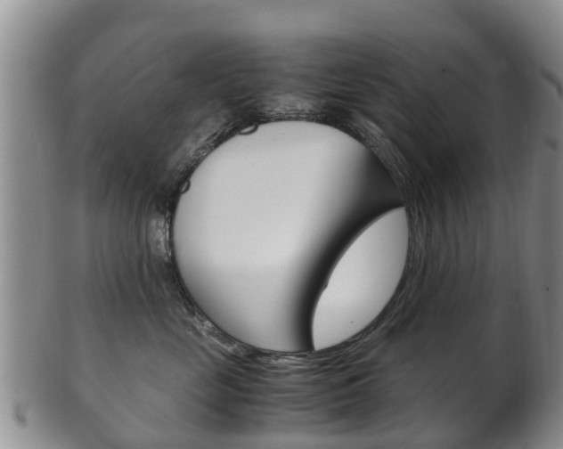 X0000102520669200808081031
