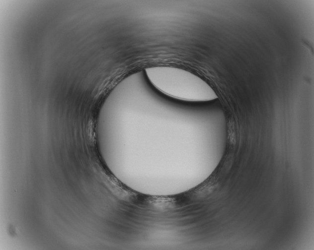 X0000102520670200808081031
