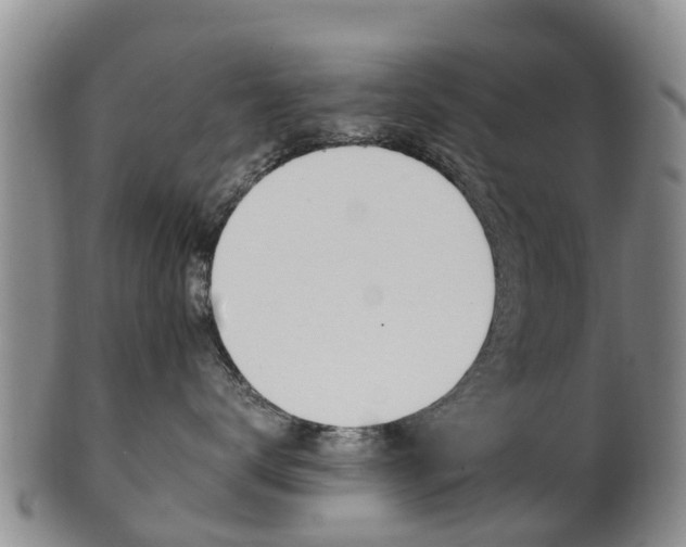 X0000102520672200808081031