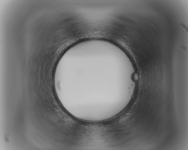 X0000102520673200808081030