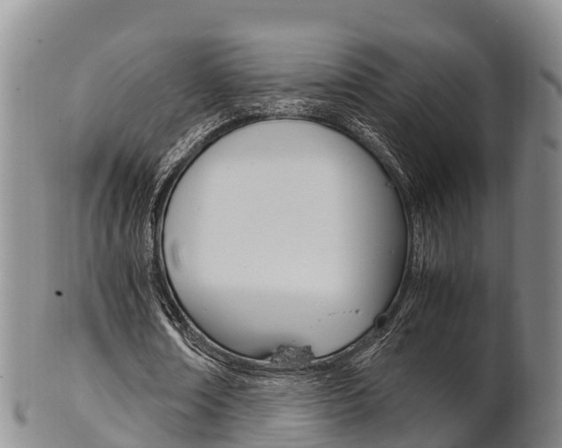X0000102520674200808081030