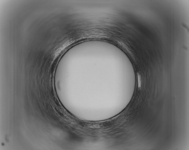 X0000102520675200808081030